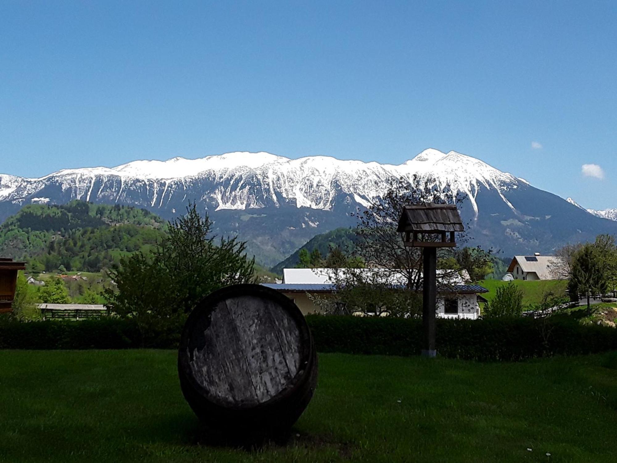 Apartment Natur Bled Bagian luar foto