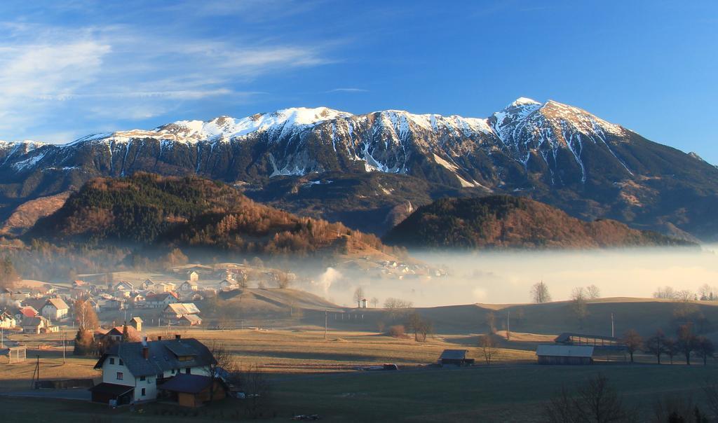 Apartment Natur Bled Ruang foto