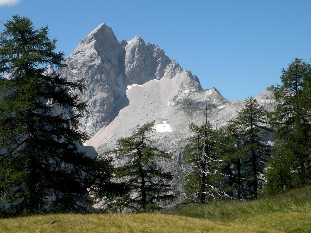 Apartment Natur Bled Ruang foto