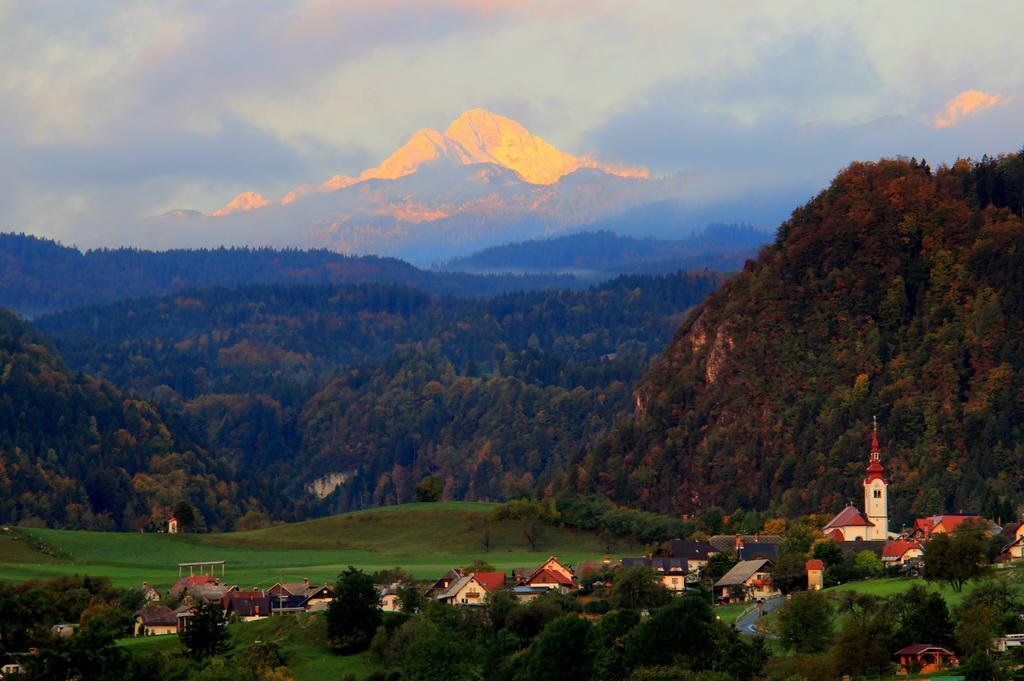 Apartment Natur Bled Ruang foto